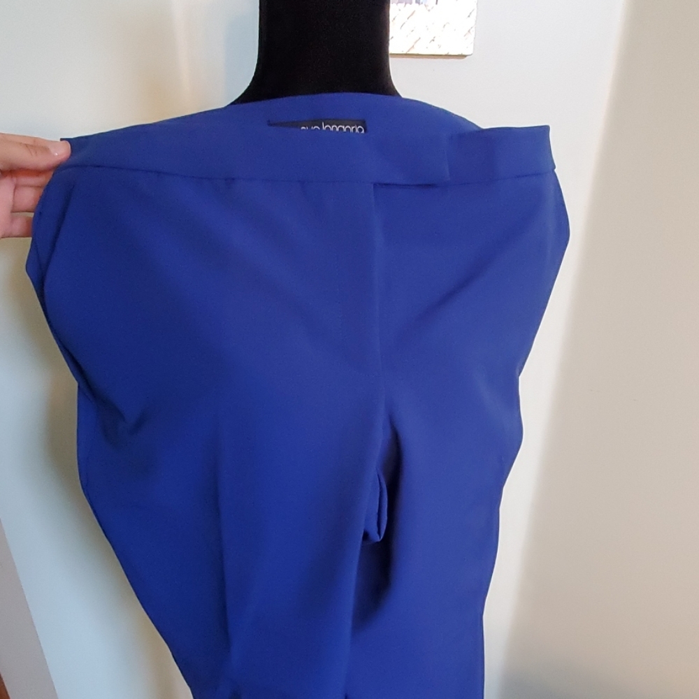 NWT- Limited Eva Longoria lined dress pants
